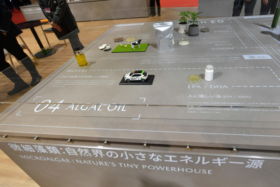 微細藻類「ナンノクロロプシス」