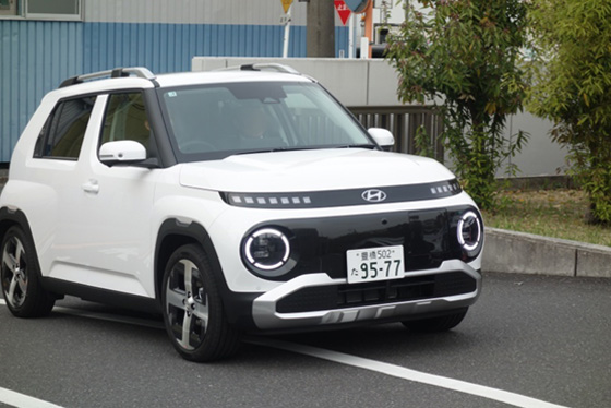 白いINSTER
